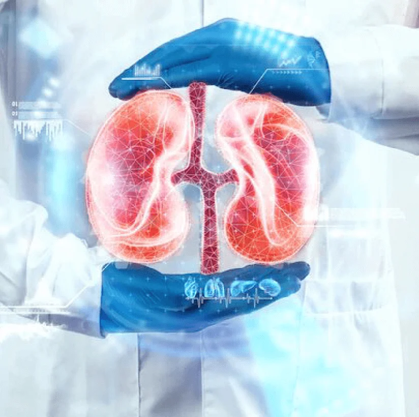 Treatment for Chronic Kidney Diseases and Kidney Infection in Bareilly - Gangasheel Hospital
